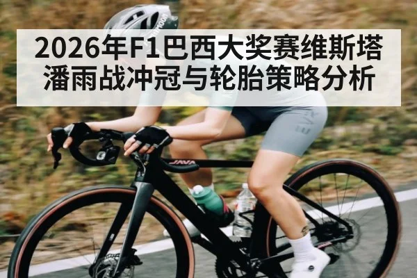 2026年F1巴西大奖赛维斯塔潘雨战冲冠与轮胎策略分析